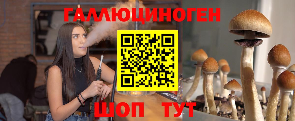 Зима  Псилоцибиновые грибы Magic Shrooms  Галлюциногенные грибы MAGIC MUSHROOMS  Вход с VPN 